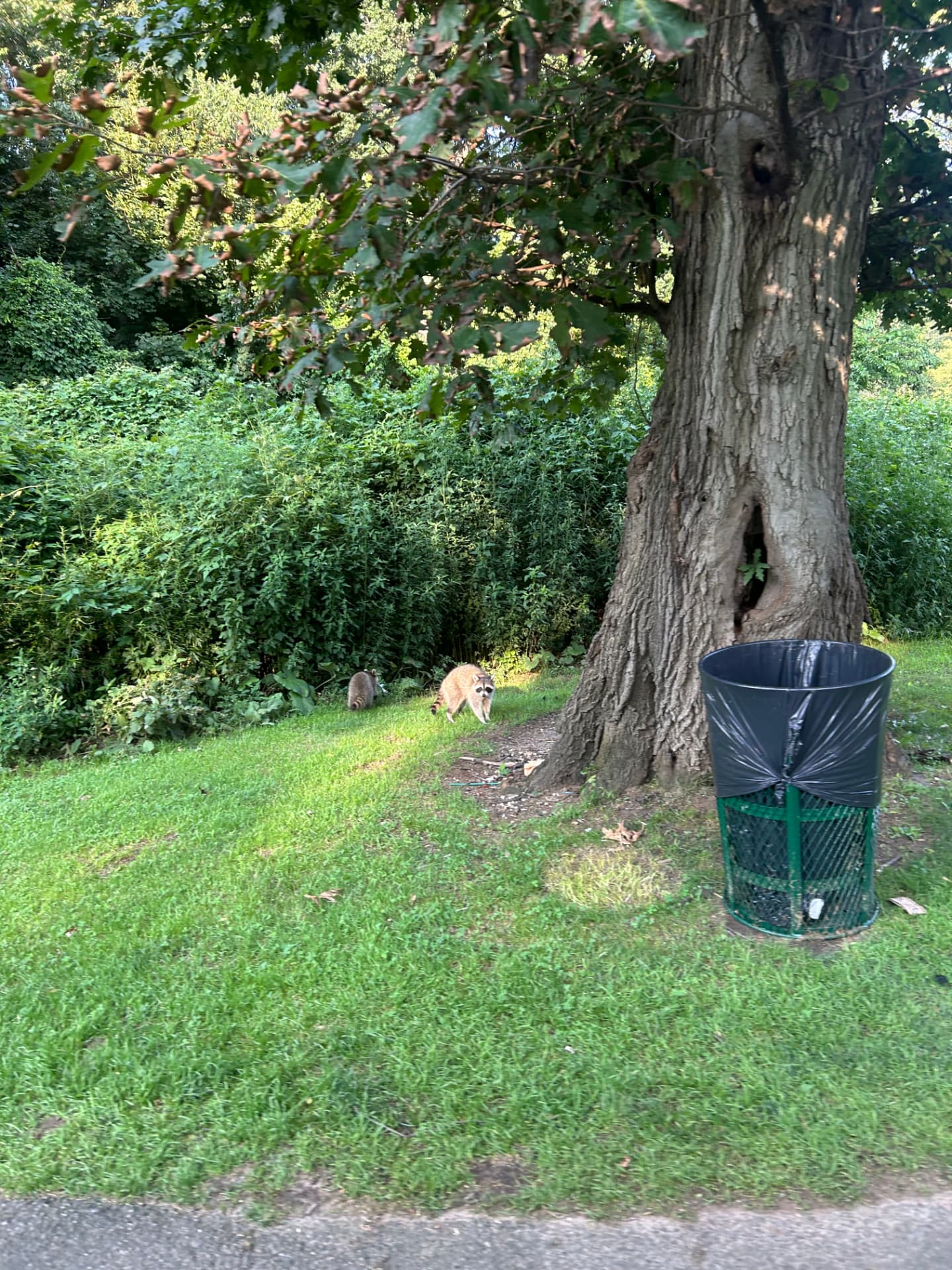 Golf Bucks members — Forest Park Outing - August 2026